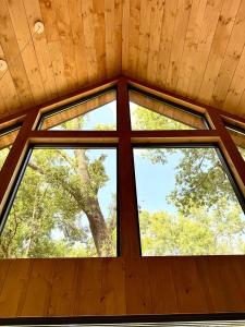a window in a wooden room with a tree at Ecolodge de la Palombiere in Saint-Clar