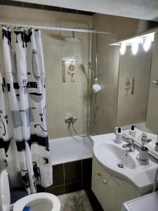 a bathroom with a shower and a sink and a toilet at Faros & Beach View in Alexandroupoli +51 photos