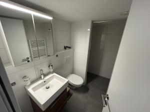 a bathroom with a sink and a toilet and a mirror at Gemütliche Souterrainwohnung mit gratis Parkplatz in St. Gallen
