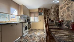 a kitchen with a washer and dryer in a room at STONE of KAMARIZA in Áyios Konstandínos