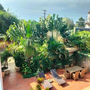 Κήπος έξω από το LaVana Hotel