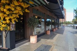 a building with potted trees on the sidewalk at Sweet Hotel Renasa in Valencia