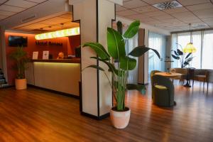 a potted plant in the middle of a lobby at Sweet Hotel Renasa in Valencia