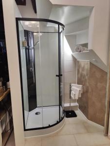 a bathroom with a glass shower in a room at Apartment zu Hofe in Oberursel