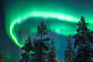an aurora shines in the sky over trees at Villa Vintage, Scandinavian Design and Comfort Near the City and Ski Slopes in Rovaniemi