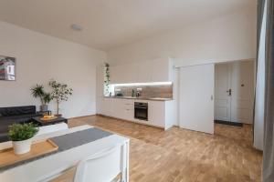 Η κουζίνα ή μικρή κουζίνα στο Apartmán Údolní