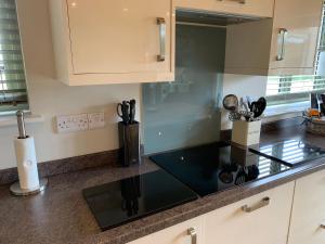 Kuchyň nebo kuchyňský kout v ubytování Peregrine Lodge + 21 fotografií