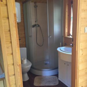 ein Bad mit einer Dusche, einem WC und einem Waschbecken in der Unterkunft Domek in Świnoujście