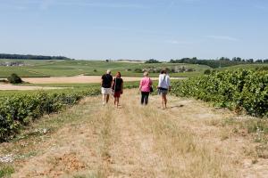 Eine Gruppe von Menschen, die auf einer unbefestigten Straße spazieren in der Unterkunft La Poterne l Maison d'hôtes à Epernay in Rouen