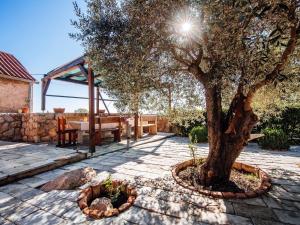 Κήπος έξω από το MY DALMATIA - Holiday home Jucinovi Dvori with private pool and sauna +30 φωτογραφίες