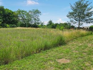 WrittleにあるBelt Annexeの遠くに木のある高い草原