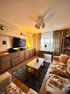 een woonkamer met een bank en een tv bij Cip-Apartament24 in Iaşi
