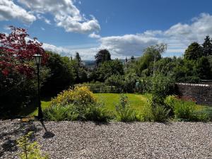 Κήπος έξω από το Dungora House