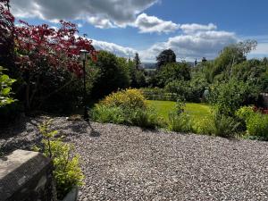 Κήπος έξω από το Dungora House +3 φωτογραφίες