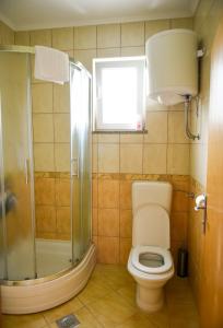 a bathroom with a toilet and a shower at Apartman Nedo Međugorje in Međugorje