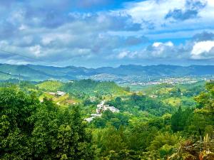 a view of a valley with trees and mountains at Casa Nube in Cayey