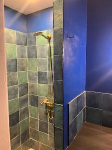 La salle de bains est pourvue d'une douche avec un mur bleu. dans l'établissement Maison Bonnefoy, à Toulouse