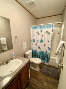 ein Badezimmer mit Waschbecken, Toilette und Dusche in der Unterkunft Off-Grid Cottage with Nice Sights in Dunnellon, Florida in Dunnellon