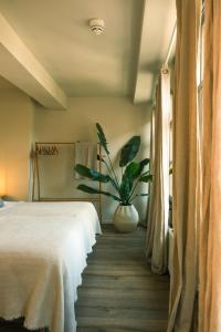 a bedroom with a bed and a potted plant at Milk and cookies in Venlo