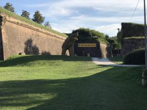 Κήπος έξω από το Gonzalez +2 φωτογραφίες