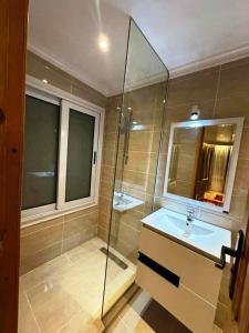 卢克索Embrace 2 Nile Sailing Dahabiya -Luxor- Aswan- 4 Nights的浴室配有洗手池和玻璃淋浴房