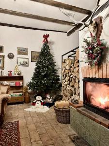 Φωτογραφία από το άλμπουμ του Entire House @Saschiz 130 σε Saschiz