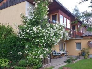 Galeriebild der Unterkunft Ferienwohnungen Vidoni in Bodensdorf