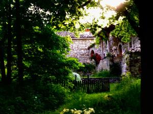 Zahrada ubytování Petite maison Dalberto