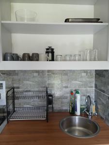 a kitchen counter with a sink and a shelf at Bedrock inn in Harrismith