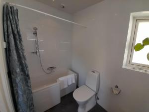 a white bathroom with a toilet and a shower at Studio apartment in Kivik in Kivik
