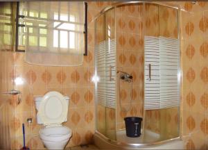 a bathroom with a toilet and a shower at Gracefield hotel & suites in Eggan