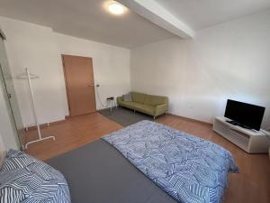 ein Schlafzimmer mit einem Bett, einem Fernseher und einer Couch in der Unterkunft AriProp Kretzschau Village Apartment in Kretzschau