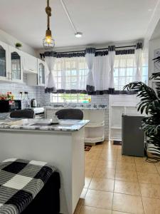 Η κουζίνα ή μικρή κουζίνα στο Kisumu Cosy Stay +12 φωτογραφίες