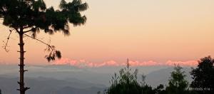 a view of mountains with a palm tree in the foreground at Everest Home Stay Temal Kalimati Tower in Thapathali