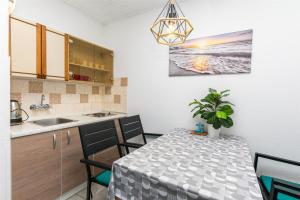 Kuchyň nebo kuchyňský kout v ubytování Apartments Boro