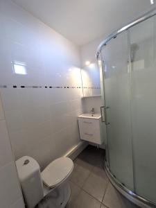ein Badezimmer mit Dusche, Toilette und Waschbecken in der Unterkunft STUDIO Terrasse Plage CLIM WIFI Park in Palavas-les-Flots + 25 Fotos