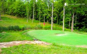 Golf v prázdninového domu nebo okolí