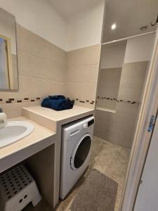 a bathroom with a washing machine and a sink at Studio cosy avec mezzanine & parking 2min Walibi in Les Avenières