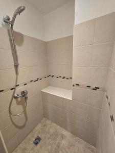 a bathroom with a shower with avisor at Studio cosy avec mezzanine & parking 2min Walibi in Les Avenières