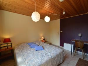 a bedroom with a bed with blue pillows on it at Ondenval Stay with Sauna in Waimes