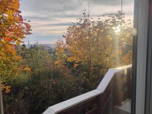 Příroda nedaleko prázdninového domu