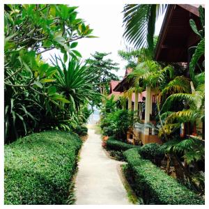 En have udenfor Jungle Hut Bungalows & Hotel