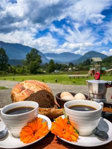 Příroda nedaleko prázdninového domu