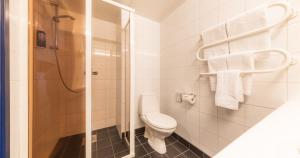 タリンにあるタリンク エクスプレス ホテルのトイレとシャワー付きのバスルーム