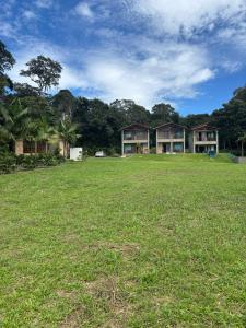 Κήπος έξω από το Pousada Flor do Café