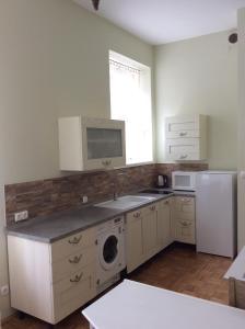 a kitchen with a sink and a dishwasher at Vila Rogaška in Rogaška Slatina