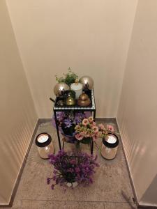 Billede fra billedgalleriet på Marijonų Arfos Aidas i Panevėžys