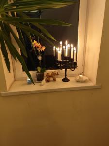 Billede fra billedgalleriet på Marijonų Arfos Aidas i Panevėžys