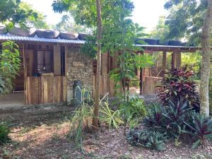 Zahrada ubytování 1888 North West Xaibe