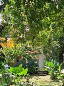 En have udenfor Chalezinho D'Ajuda